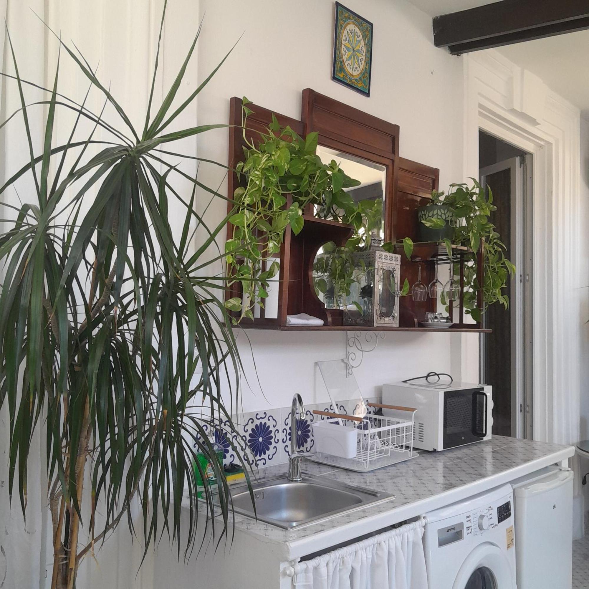B&B Lido Liberty Lido di Ostia Dış mekan fotoğraf